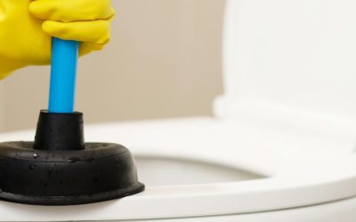 Plumbing Oklahoma City, Worse types of Clogged Toilet