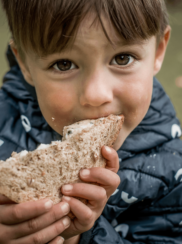 food_drive1