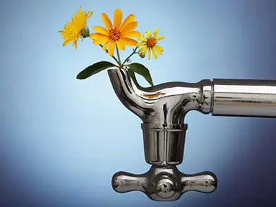 spring flowers sprouting from a faucet to reflect Spring Plumbing issues.